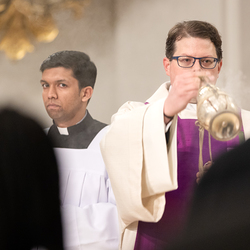 Erzdiözese Wien/ Schönlaub, Stephan Schönlaub