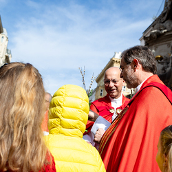 2025 Palmsonntag / Erzdiözese Wien/ Schönlaub, Stephan Schönlaub
