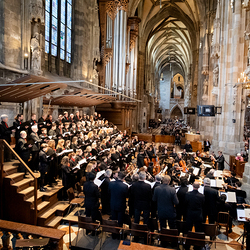 Te-Deum Papst Leo XIV / Erzdiözese Wien/Schönlaub, Stephan Schönlaub
