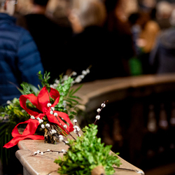 2025 Palmsonntag / Erzdiözese Wien/ Schönlaub, Stephan Schönlaub