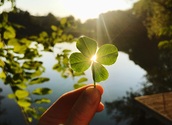iStock / Kateryna Kovarzh
