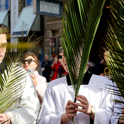 2025 Palmsonntag / Erzdiözese Wien/ Schönlaub, Stephan Schönlaub