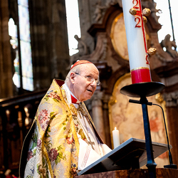 Te-Deum Papst Leo XIV / Erzdiözese Wien/Schönlaub, Stephan Schönlaub