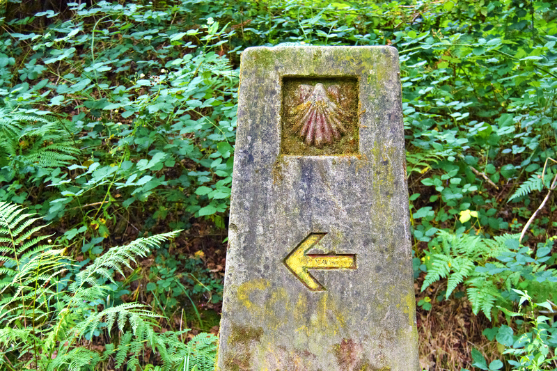 Jakobsmuschel als Pilgerzeichen