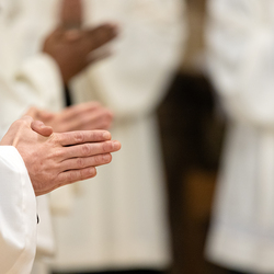 Erzdiözese Wien/ Schönlaub, Stephan Schönlaub