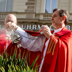 2025 Palmsonntag / Erzdiözese Wien/ Schönlaub, Stephan Schönlaub