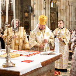 Priesterweihe Byzantinischer Ritus im Stephansdom / Erzdiözese Wien/ Schönlaub