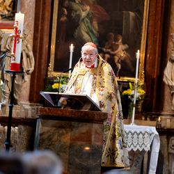 Te-Deum Papst Leo XIV / Erzdiözese Wien/Schönlaub, Stephan Schönlaub