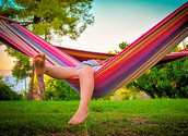 Daniela Dimitrova / Pixabay