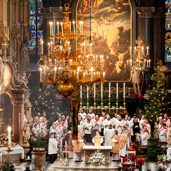 Stephanifest / Erzdiözese Wien/Schönlaub, Stephan Schönlaub
