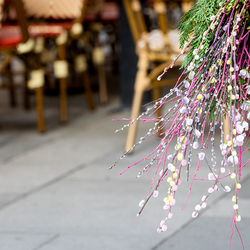 2025 Palmsonntag / Erzdiözese Wien/ Schönlaub, Stephan Schönlaub