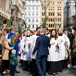 2025 Palmsonntag / Erzdiözese Wien/ Schönlaub, Stephan Schönlaub