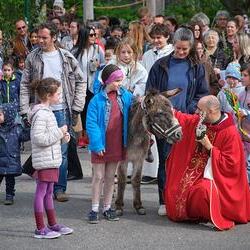 Palmsonntag Pfarre Heilige Mutter Teresa / Erzdiözese Wien/Feuchtner